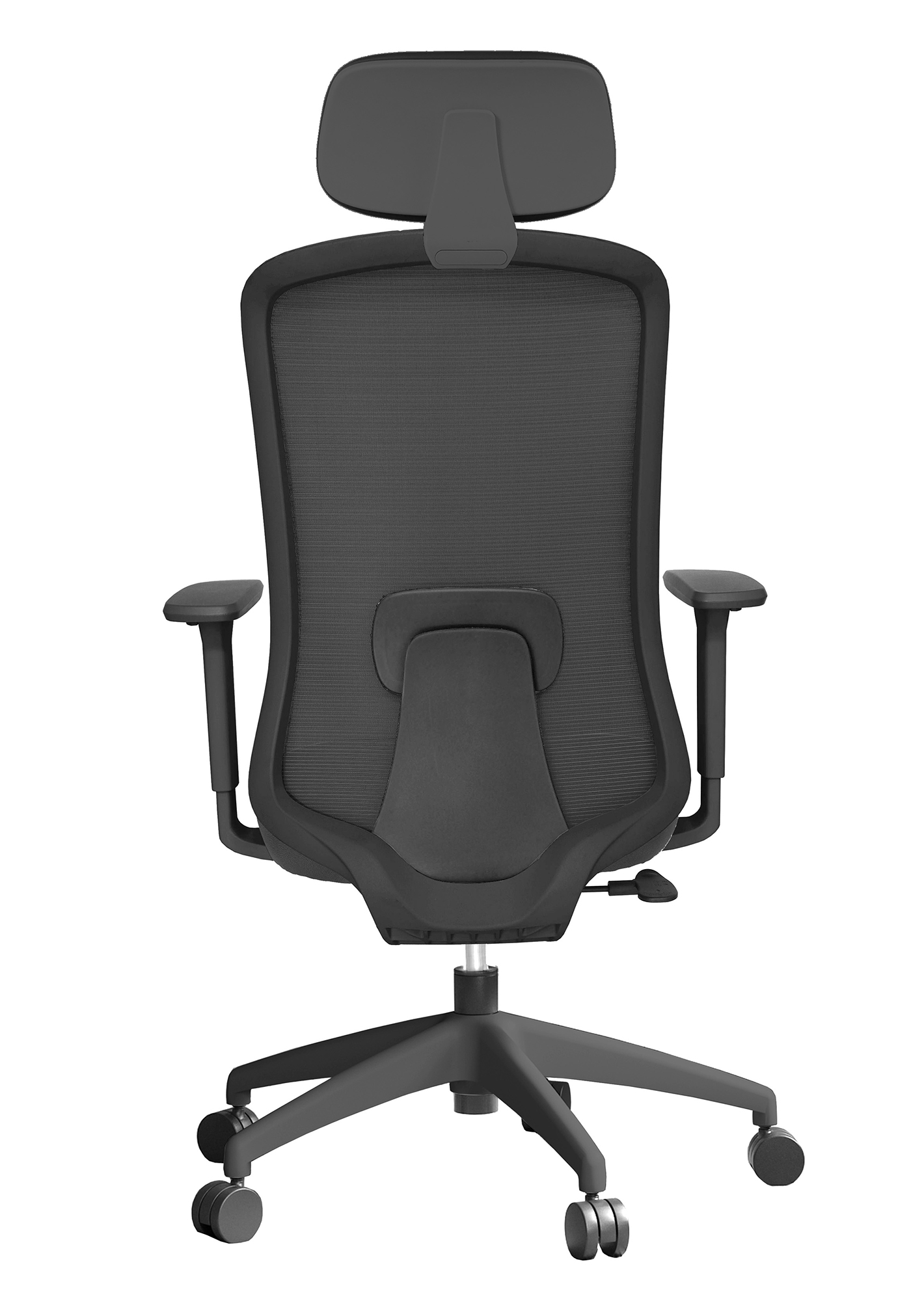 OHE-112negrocabecera